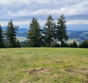 La Pyramide au départ du col de la Croix Montmain - Vaux-en-Beaujolais - 5