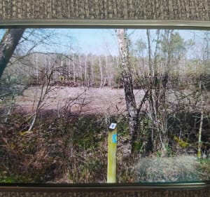 Lac aux Armées au fil de l'eau entre forêt et champs - Méry-és-Bois - 4