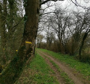 Rando de l'écluse du pas d'Héric - Nort-sur-Erdre - 5
