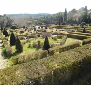 Le Domaine de Restinclieres, le Lez, Bois de Saint-Sauveur - Philippe - 3