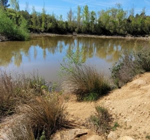 Balade Préhistorique à la Bouverie - Roquebrune-sur-Argens - 5
