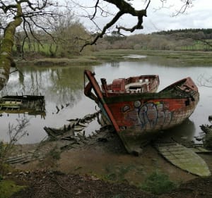 Un huit entre le port du Bono et la pointe de Kerisper - Le Bono - 5