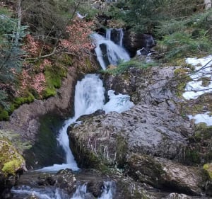 Refuge des Tinderets - Abondance - 3