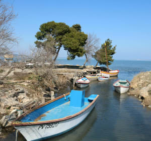 Rustige en mooie wandeling naar de Salses-vijver in Leucate - Saint-Laurent-de-la-Salanque - 4