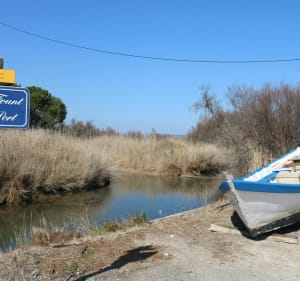 Rustige en mooie wandeling naar de Salses-vijver in Leucate - Saint-Laurent-de-la-Salanque - 5