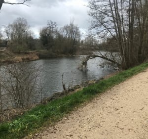 Boucle de la Guayère au bassin du petit Paris - Longpont-sur-Orge - 4