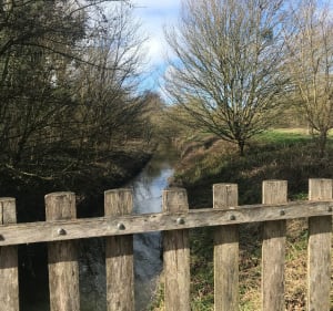 Boucle de la Guayère au bassin du petit Paris - Longpont-sur-Orge - 5