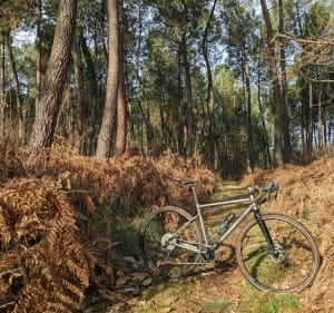 Gravel au départ de Roaillan, entre forêt et vignoble - Roaillan - 3