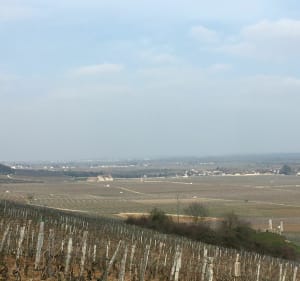 Randonnée au départ de Vosne-Romanée - Vosne-Romanée - 5