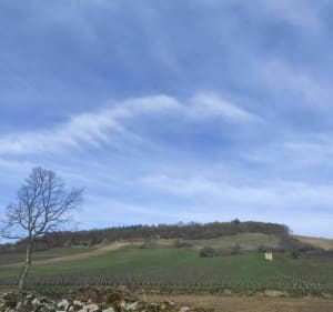 Madone, Givry - Givry - 3
