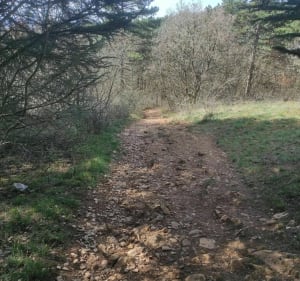 Madone, Givry - Givry - 4