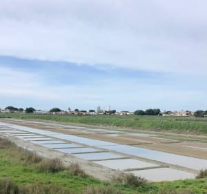 A Loix, découverte de l’ostréicultrure et du patrimoine - Loix - 3