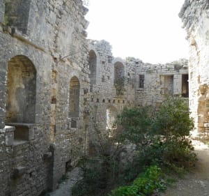 Hortuskammen en kasteel van Roquette (Viviourès) - Rouet - 5