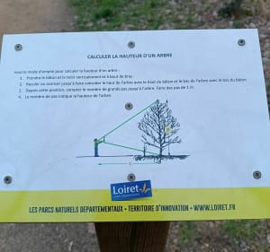 Balade au parc naturel départemental des Dolines de Limère - Ardon - 3