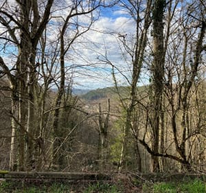 Autour de Verbiesles - Verbiesles - 4
