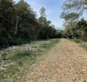 Pourols et les Rabassières - Saint-Mathieu-de-Tréviers - 4