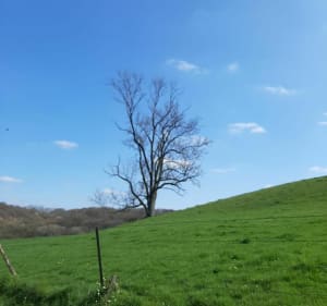 Belle randonnée à Saint-Clair-sur-les-Monts par la Bretèque - Saint-Martin-de-l'If - 4
