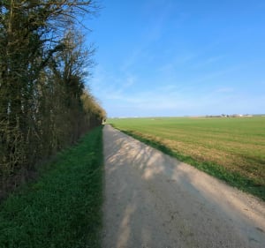 Chemins et collines d'Aiffres - Aiffres - 3