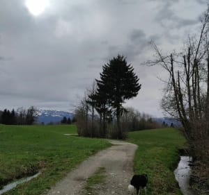 Boucle au départ de "chez les Maîtres" - Menthonnex-en-Bornes - 4