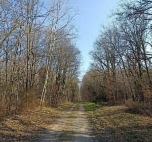 Randonnée nature sur une partie du GR3 - Azay-le-Rideau - 4