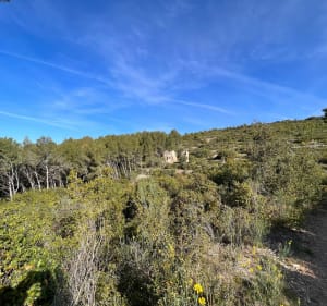 La Crète du Gros Cerveau - Sanary-sur-Mer - 3