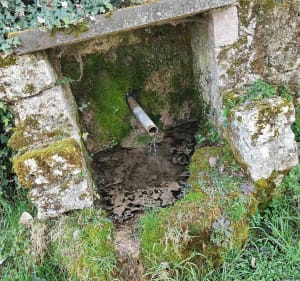 Promenade dans Chavroches - Chavroches - 5