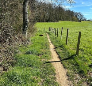 Tours de Feytiat à VTT - Feytiat - 3
