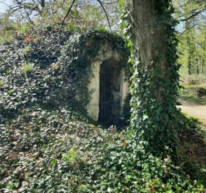 Balade bois de Célie et Saint Martin, château de Malnoue - Émerainville - 3
