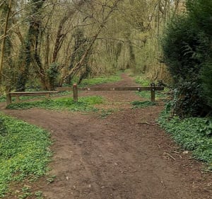 Balade à travers les champs d'Hérouville - Auvers-sur-Oise - 3