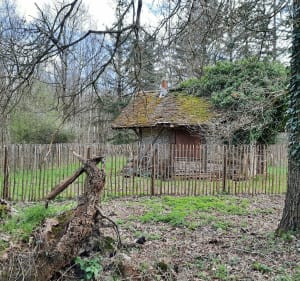 Balade bois de Célie et Saint Martin, château de Malnoue - Émerainville - 5