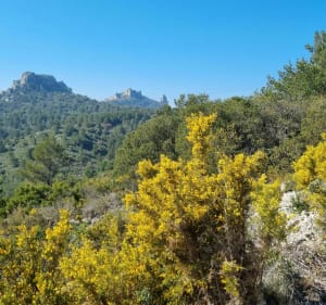 Col Saint Anne, depuis Allauch - Allauch - 5
