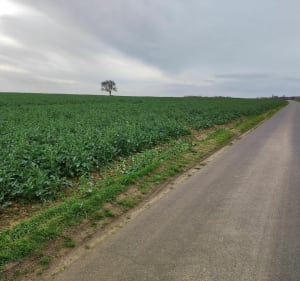 Superbe balade sur le plateau du Saint-Ouen - Igoville - 5