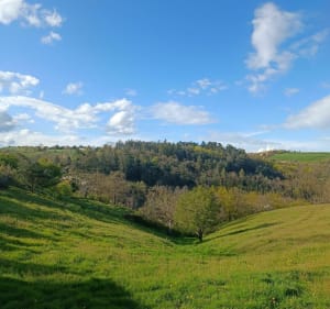 Sur la trace des crapauds à Saint Andéol le Chateau - Beauvallon - 3