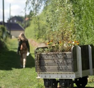 Sur les traces des Hobbits en VTT - La Comté - 3