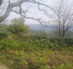 Les Vélos d'Hergarai : Virée à l' ARRADOY - Saint-Jean-Pied-de-Port - 4