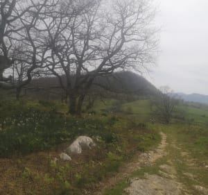 Les Vélos d'Hergarai : Virée à l' ARRADOY - Saint-Jean-Pied-de-Port - 3