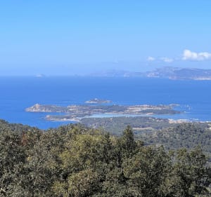 Het Janas-bos bij Notre-Dame du Mai en de Terres Gastes - La Seyne-sur-Mer - 3