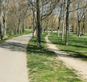 De Groene Gordel van Zuid-Parijs - Massy - 4