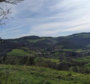 De Thurins à Vaugneray, par le Col de la Fausse - Thurins - 4