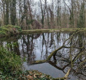 La promenade du domaine de Saint Thibault - Montgé-en-Goële - 5