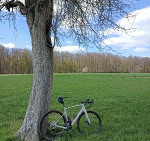 Sarreguemines et L'ancienne frontière à VTT - Sarreguemines - 3