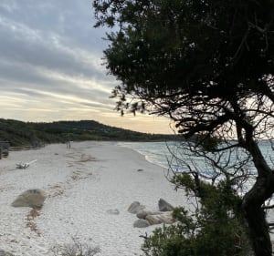 Balade d’Avril, ventée aux plages de Bodre et Ghjunchetu ️ - Corbara - 5