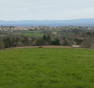 Promenade de Saint-Georges-Haute-Ville - Saint-Georges-Haute-ville - 4