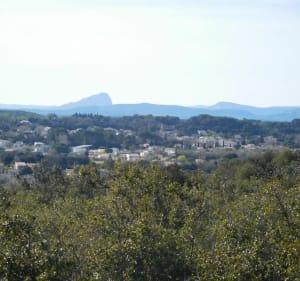 Villetelle, le Vidourle et vue sur la Roque d’Aubais - Philippe - 3