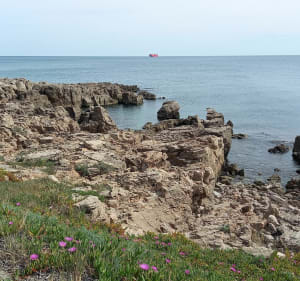 Au départ du port de Sète et ascension du Mont-Saint-Clair - Sète - 4