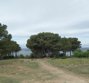 Au départ du port de Sète et ascension du Mont-Saint-Clair - Sète - 5