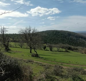 BRIAN DE VERE, belle randonnée dans les coteaux de BRUNIQUEL - Bruniquel - 5