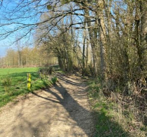 Hauteurs de Nouvion-sur-Meuse par les Auges - Nouvion-sur-Meuse - 3
