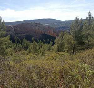 Balade au pied de la Sainte Victoire - Saint-Antonin-sur-Bayon - 5