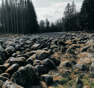 Le Champ de Roches par les Gouttelles - Arrentès-de-Corcieux - 3